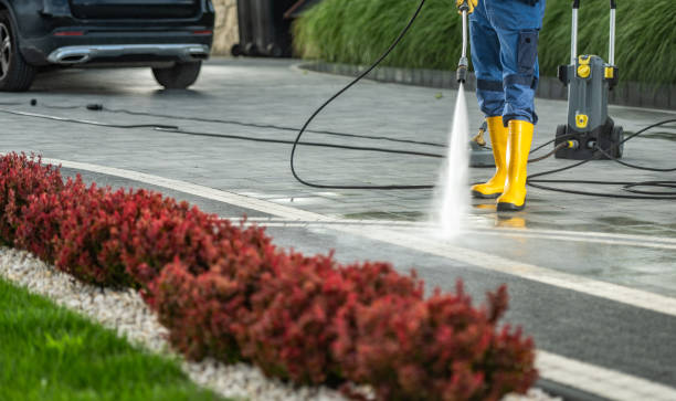 Best Vinyl Siding Pressure Washing in Clarkson, KY